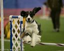 20150321-leap-0484