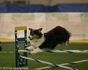 20150321-leap-0488