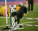 20150321-leap-0498