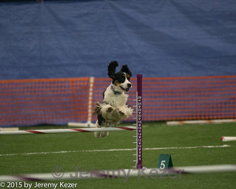 20150321-leap-0482.jpg