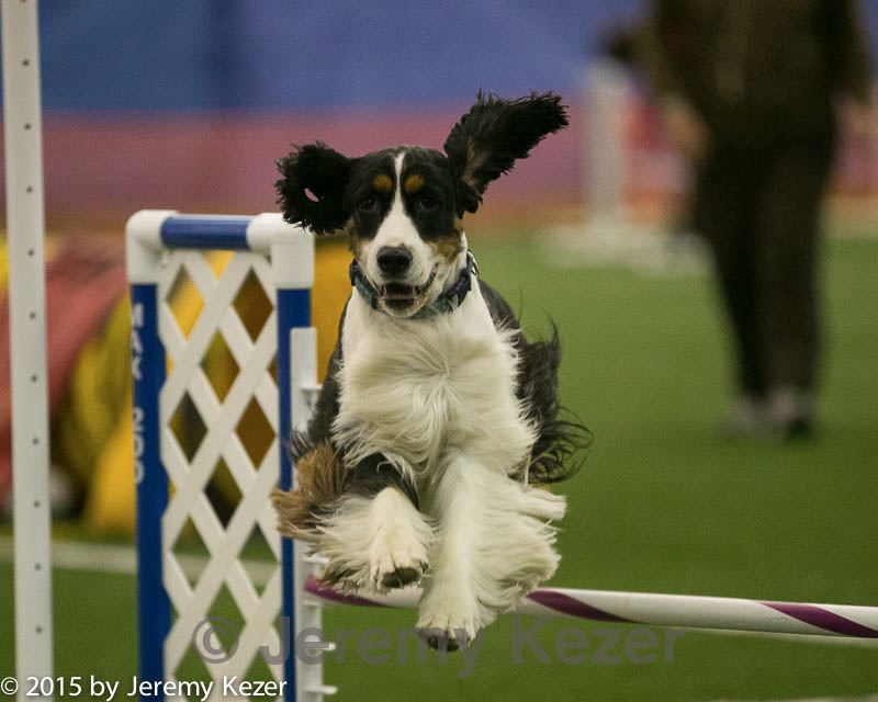 20150321-leap-0484.jpg