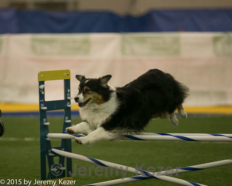 20150321-leap-0488.jpg
