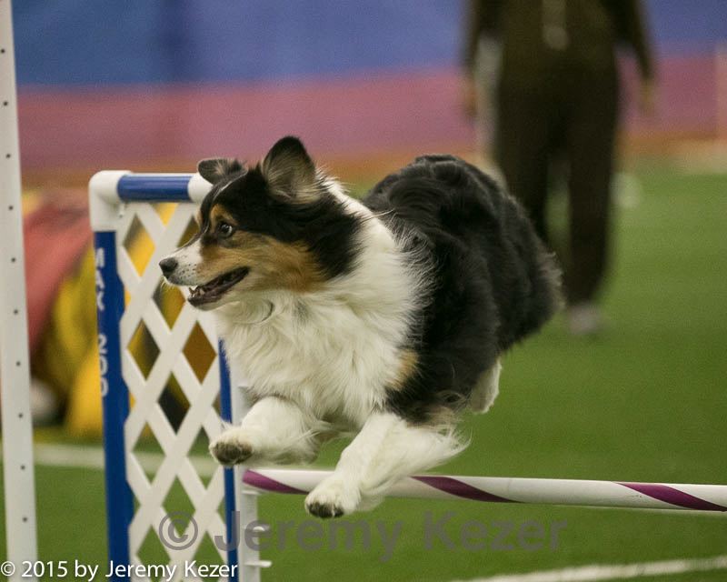 20150321-leap-0491.jpg