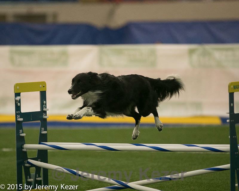 20150321-leap-0493.jpg