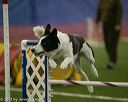 20150321-leap-0452