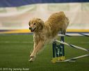 20150321-leap-0453