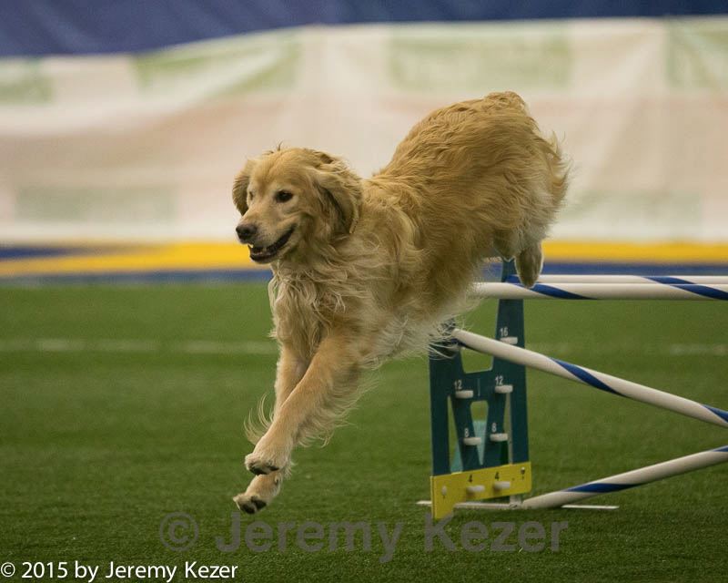20150321-leap-0453.jpg