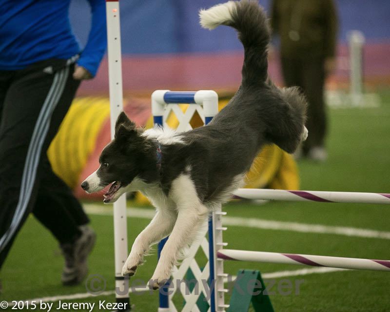 20150321-leap-0476.jpg