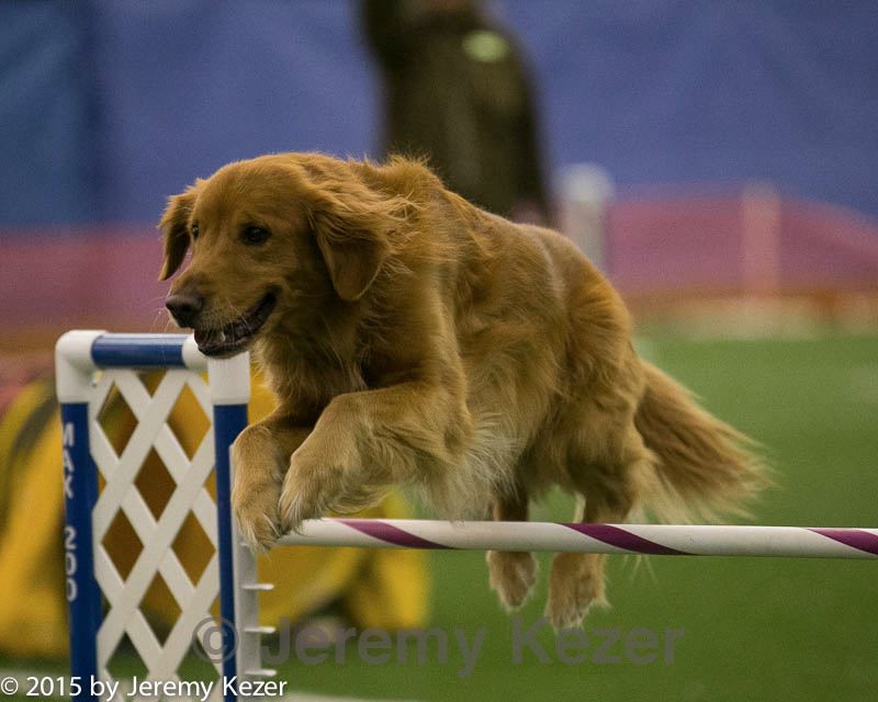 20150321-leap-0411.jpg