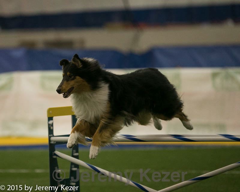 20150321-leap-0417.jpg