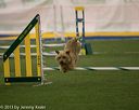 20150321-leap-0388