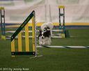 20150321-leap-0394