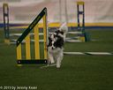 20150321-leap-0395