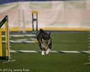 20150321-leap-0400