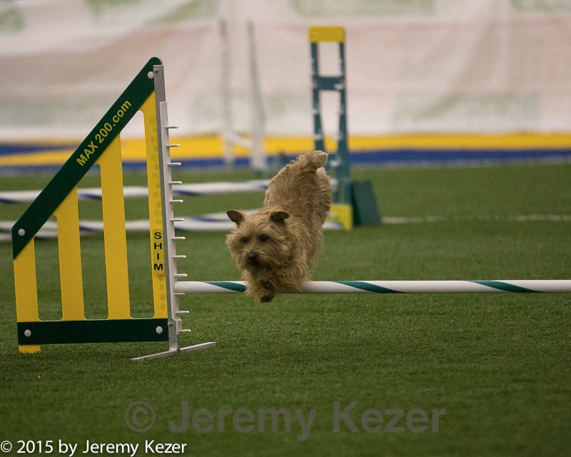 20150321-leap-0388.jpg