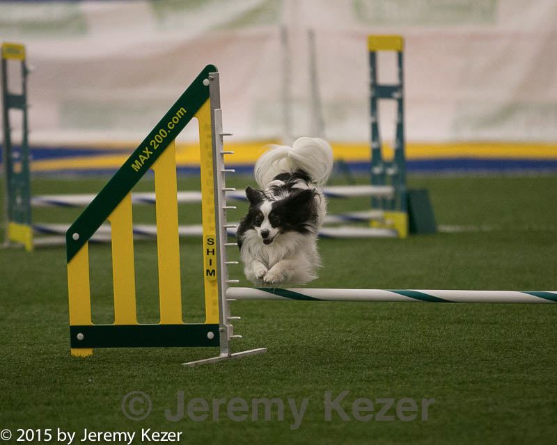20150321-leap-0394.jpg