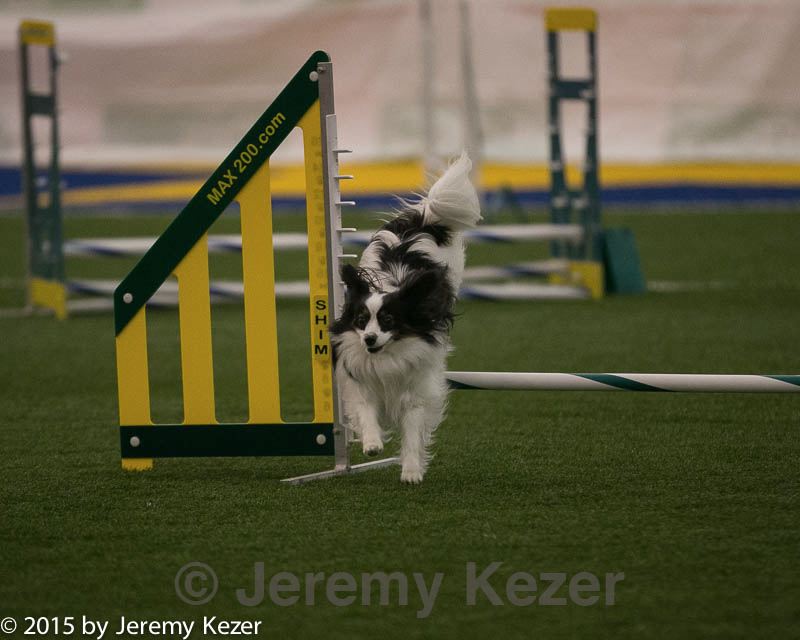20150321-leap-0395.jpg