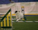 20150321-leap-0375
