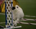 20150321-leap-0379