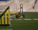 20150321-leap-0381