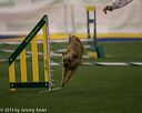 20150321-leap-0382