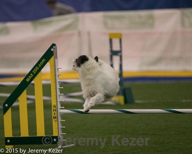 20150321-leap-0375.jpg