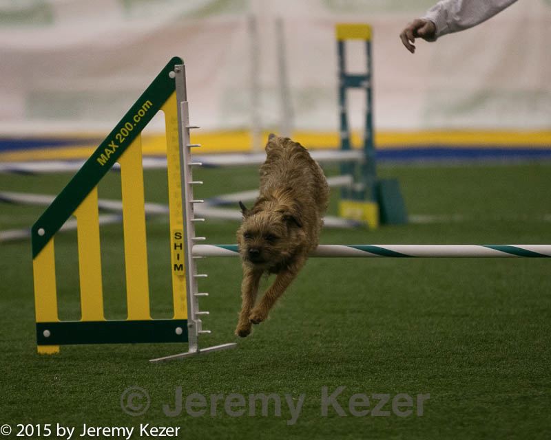 20150321-leap-0382.jpg