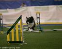 20150321-leap-0345