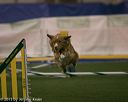 20150321-leap-0357