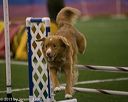 20150321-leap-0362