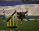 20150321-leap-0363