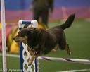 20150321-leap-0364