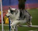 20150321-leap-0371