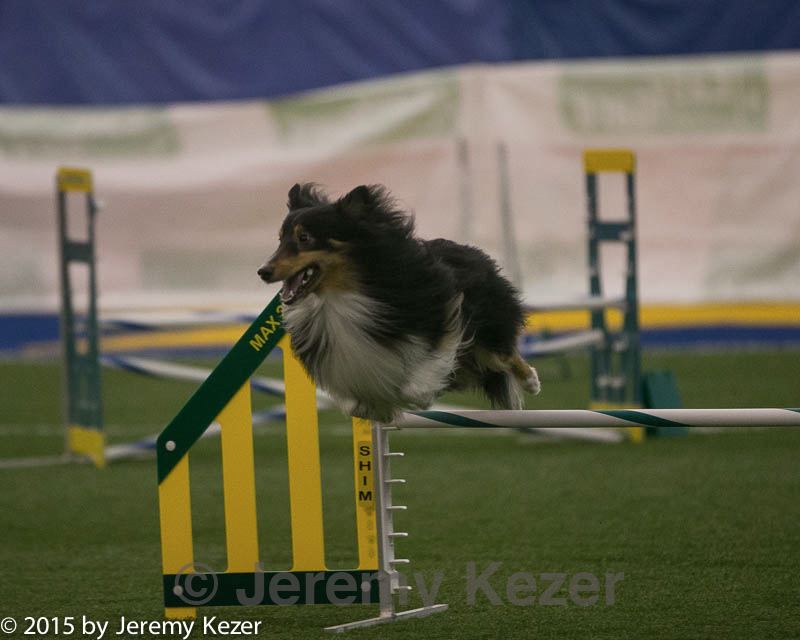 20150321-leap-0339.jpg