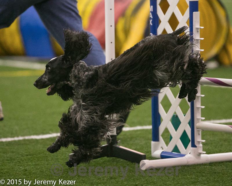 20150321-leap-0353.jpg