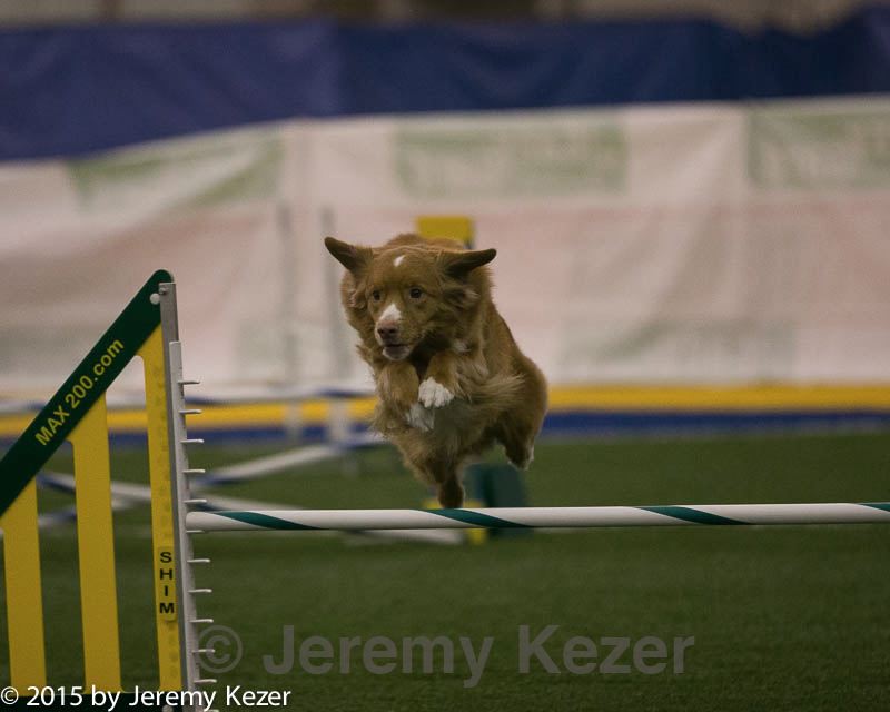 20150321-leap-0357.jpg