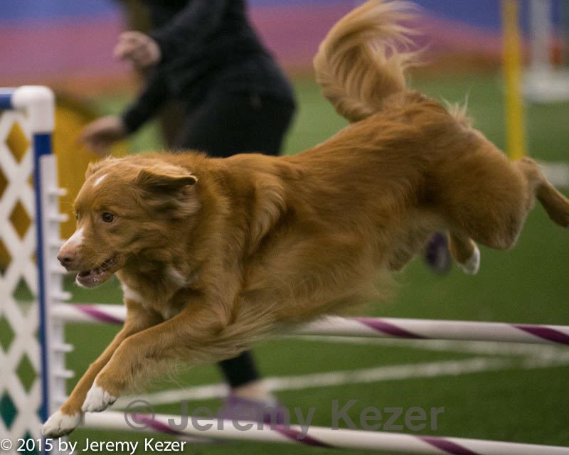 20150321-leap-0360.jpg