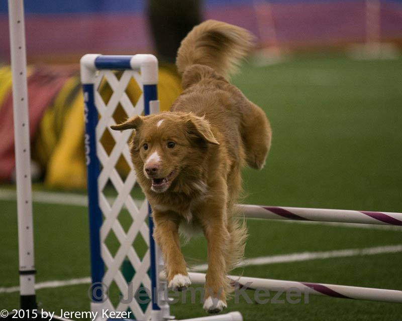 20150321-leap-0362.jpg