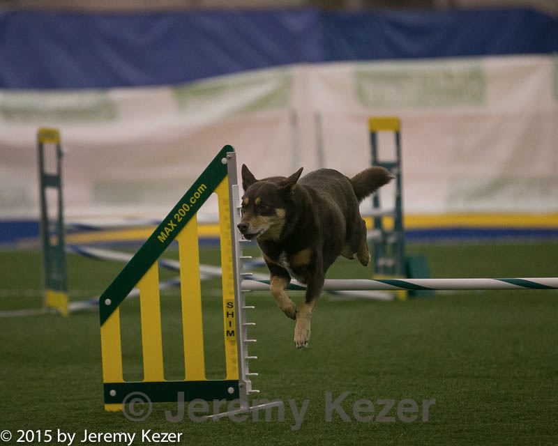 20150321-leap-0363.jpg