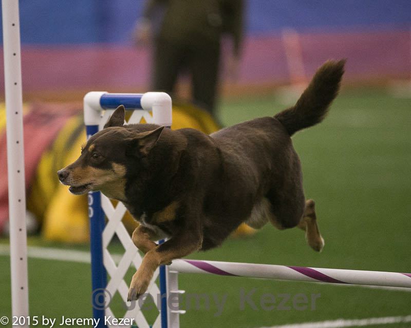 20150321-leap-0364.jpg