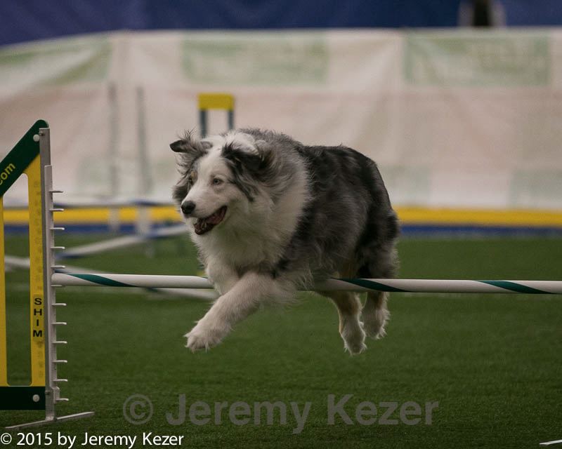 20150321-leap-0366.jpg
