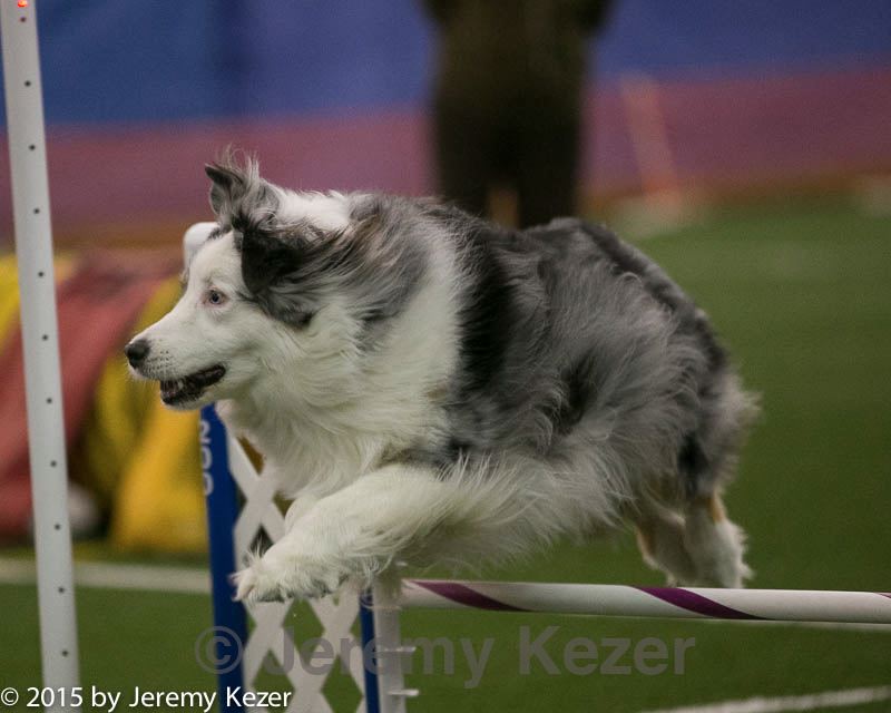 20150321-leap-0371.jpg