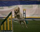 20150321-leap-0276