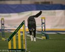 20150321-leap-0308