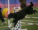 20150321-leap-0310