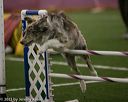 20150321-leap-0317