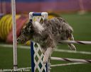 20150321-leap-0318