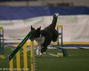 20150321-leap-0335
