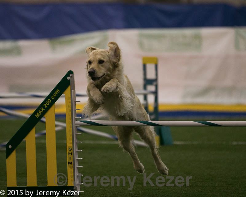 20150321-leap-0276.jpg
