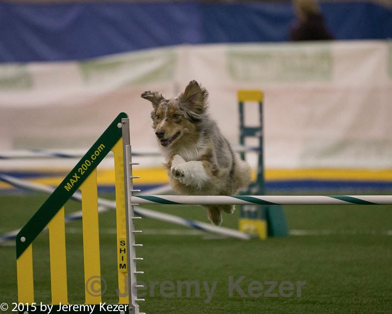 20150321-leap-0287.jpg